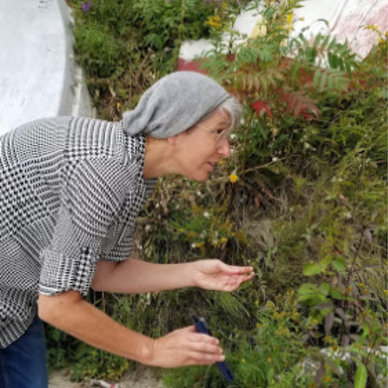 sept-walk3 (1)
