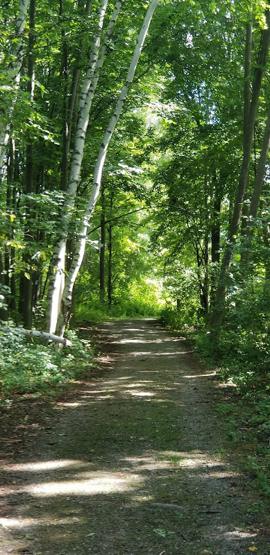 July 2020 PON Walk 2