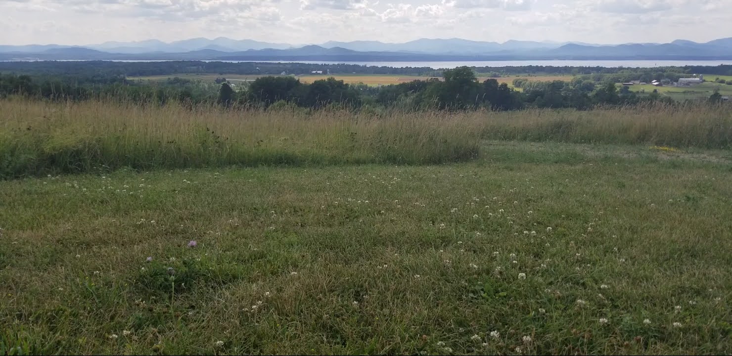 July 2020 PON Walk 3